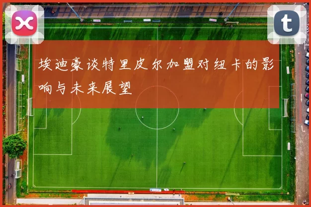 埃迪豪谈特里皮尔加盟对纽卡的影响与未来展望