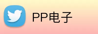 PP电子 Logo